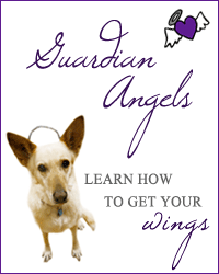 Become a Guardian Angel